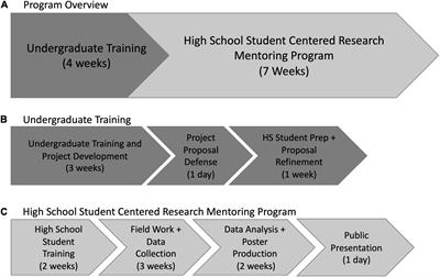 Impacts of a Near-Peer Urban Ecology Research Mentoring Program on Undergraduate Mentors